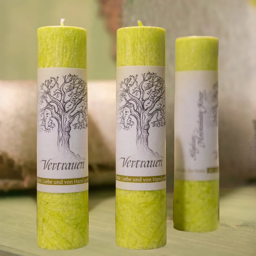 Drei hellgrüne Kräuterkerzen "Vertrauen" auf einem Tisch, symbolisieren Erneuerung & neue Energien.