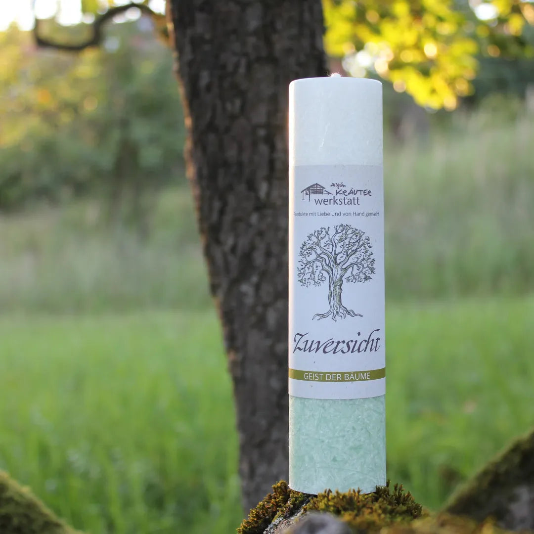 Allgäuer Kräuterkerze "Zuversicht" auf moosbewachsenem Baumstamm, schenkt Selbstvertrauen & positive Lebenssicht.