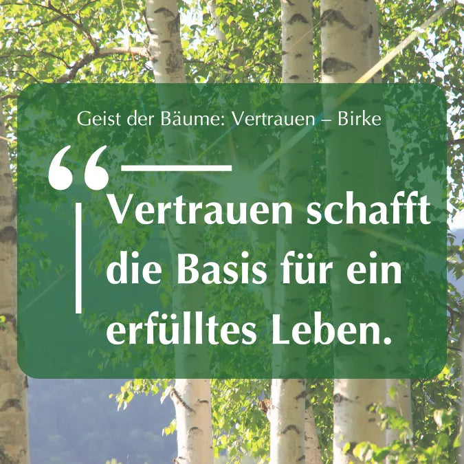 Inspirierendes Zitat "Vertrauen schafft die Basis für ein erfülltes Leben." vor Birkenwald, zum Thema Birke & Vertrauen.