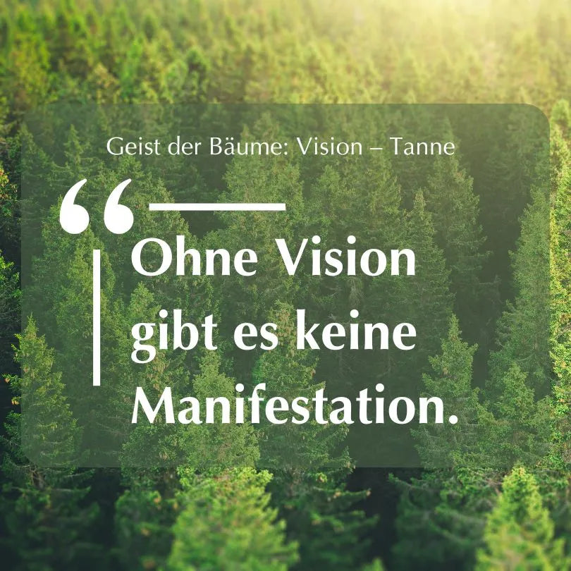 Inspirierendes Zitat "Ohne Vision gibt es keine Manifestation." vor einem Waldhintergrund, zum Thema Tanne & Vision.