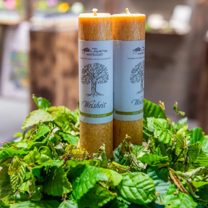 Zwei gelb-orange Kräuterkerzen "Weisheit" umgeben von grünen Blättern, symbolisieren Klarheit & Heiterkeit.