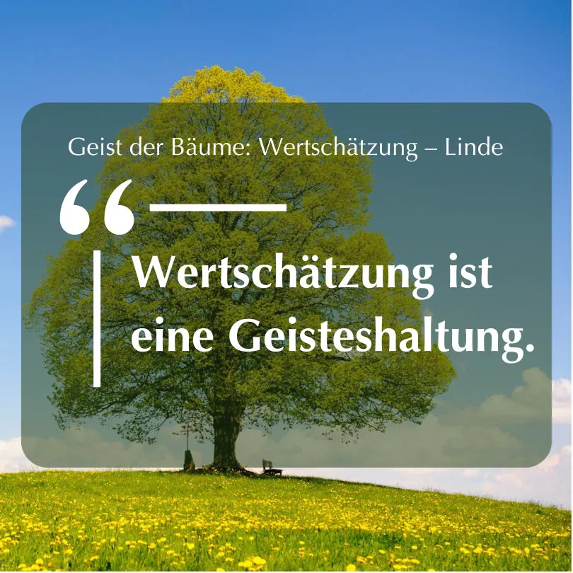 Inspirierendes Zitat "Wertschätzung ist eine Geisteshaltung." vor Lindenbaum, zum Thema Linde & Wertschätzung