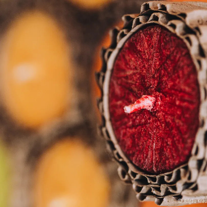 Nahaufnahme einer roten Allgäuer Heilkräuterkerze im Karton, zeigt Docht und Wachs-Textur.