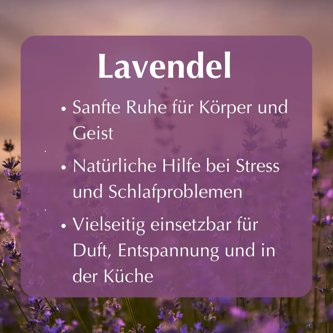 Lavendel: Sanfte Ruhe für Körper und Geist, Hilfe bei Stress und Schlafproblemen, vielseitig.
