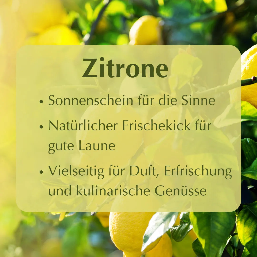 Zitrone: Sonnenschein für die Sinne, natürlicher Frischekick, vielseitig für Duft und kulinarische Genüsse.