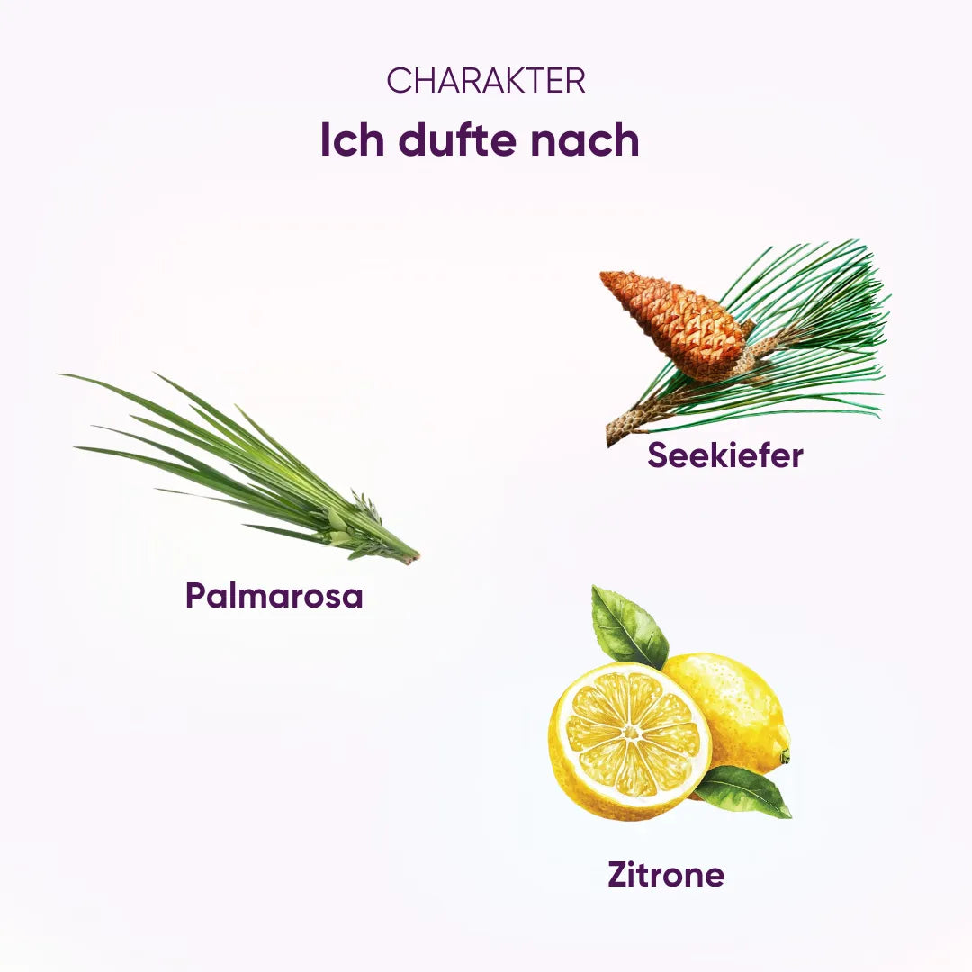 Feelmeer Duftcharakter: Komposition aus Palmarosa, Seekiefer und Zitrone, erfrischend.