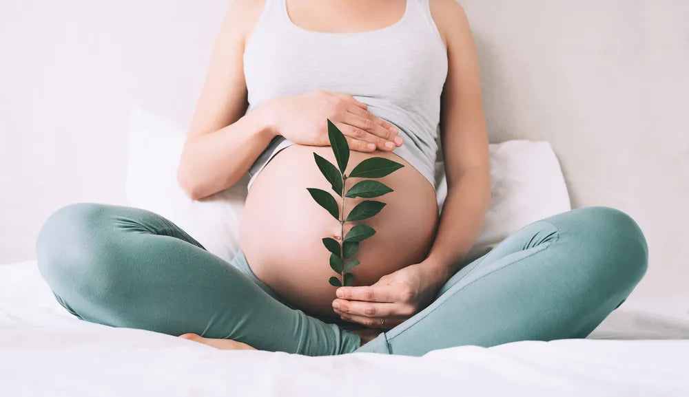 Schwangere Frau mit grünem Zweig symbolisiert natürlichen Kinderwunsch und Fruchtbarkeit.