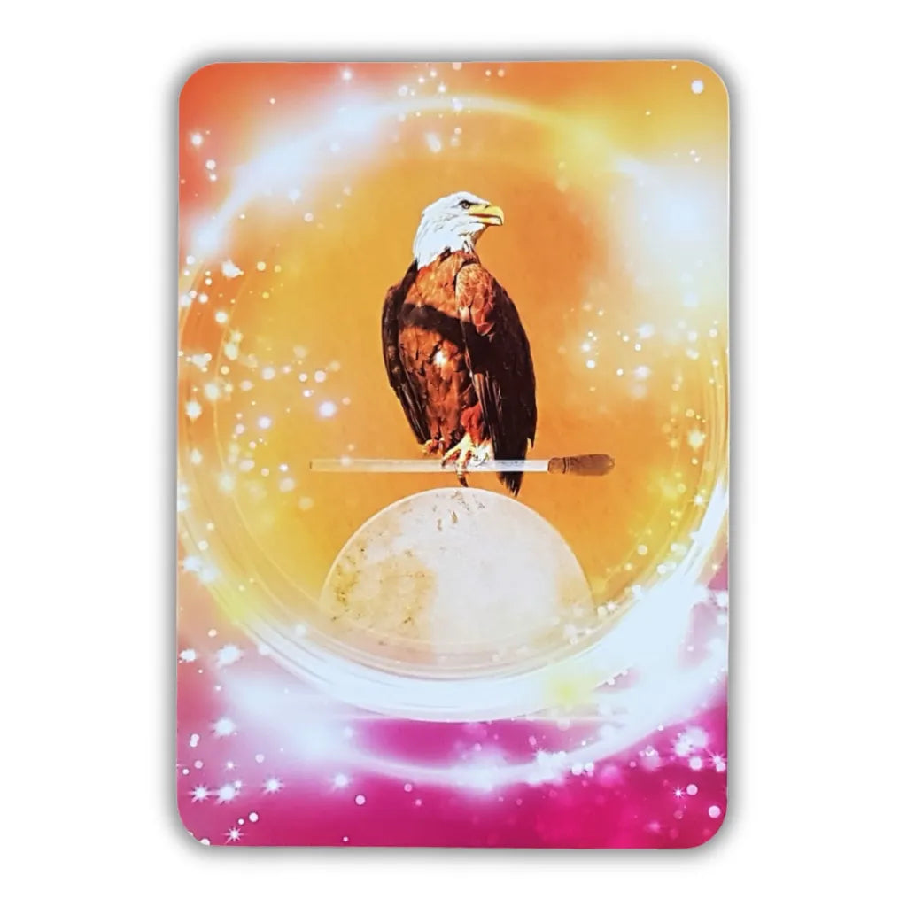 Rückseite Orakelkarten mit majestätischem Adler aus dem Krafttier-Orakel von Jeanne Ruland. Der Adler symbolisiert Attribute wie Freiheit und Stärke.