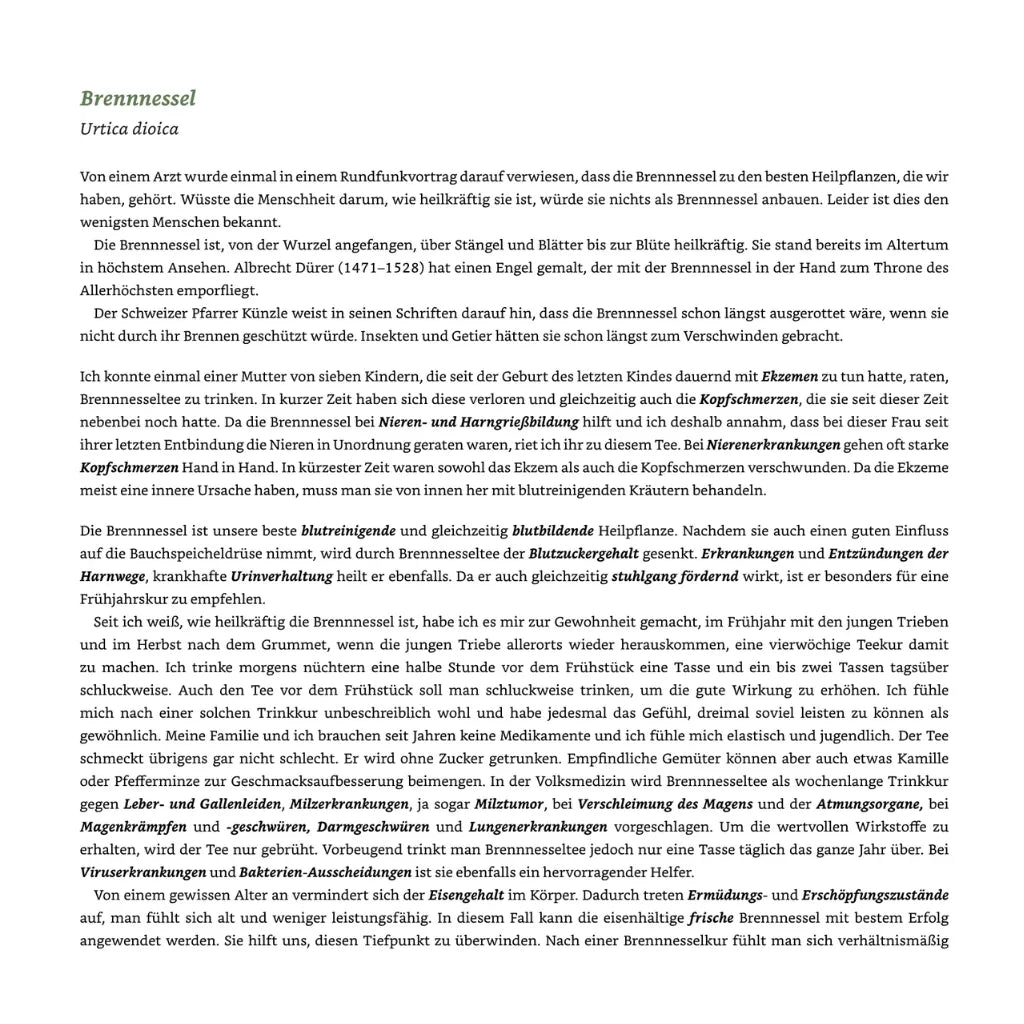 Maria Treben Gesundheit Apotheke Gottes: Brennnessel Heilwirkung, Anwendung. Kräuterwissen bei Sera Benia.