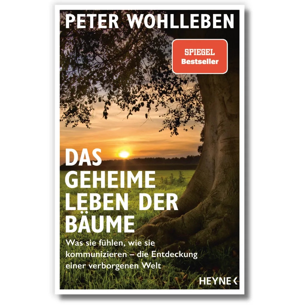 Buchcover Peter Wohlleben Das geheime Leben der Bäume. Spiegel Bestseller über Wald Natur.