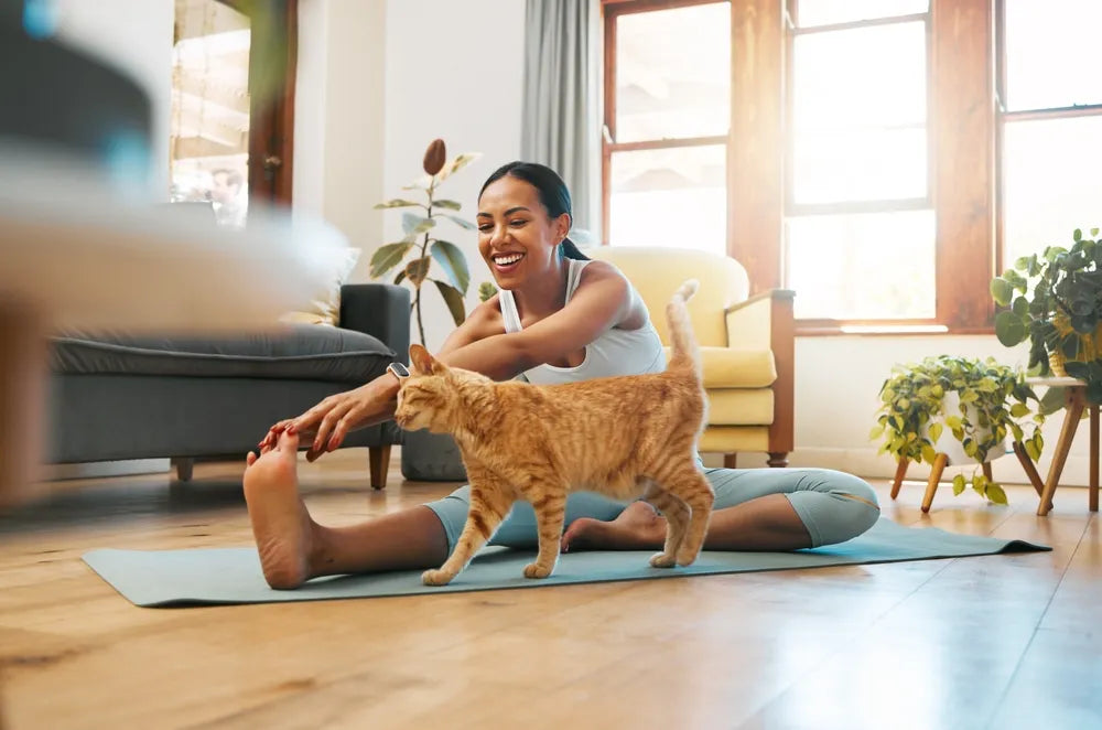 Frau macht Yoga auf Matte, Katze läuft vorbei, symbolisiert ganzheitliche Gesundheit.