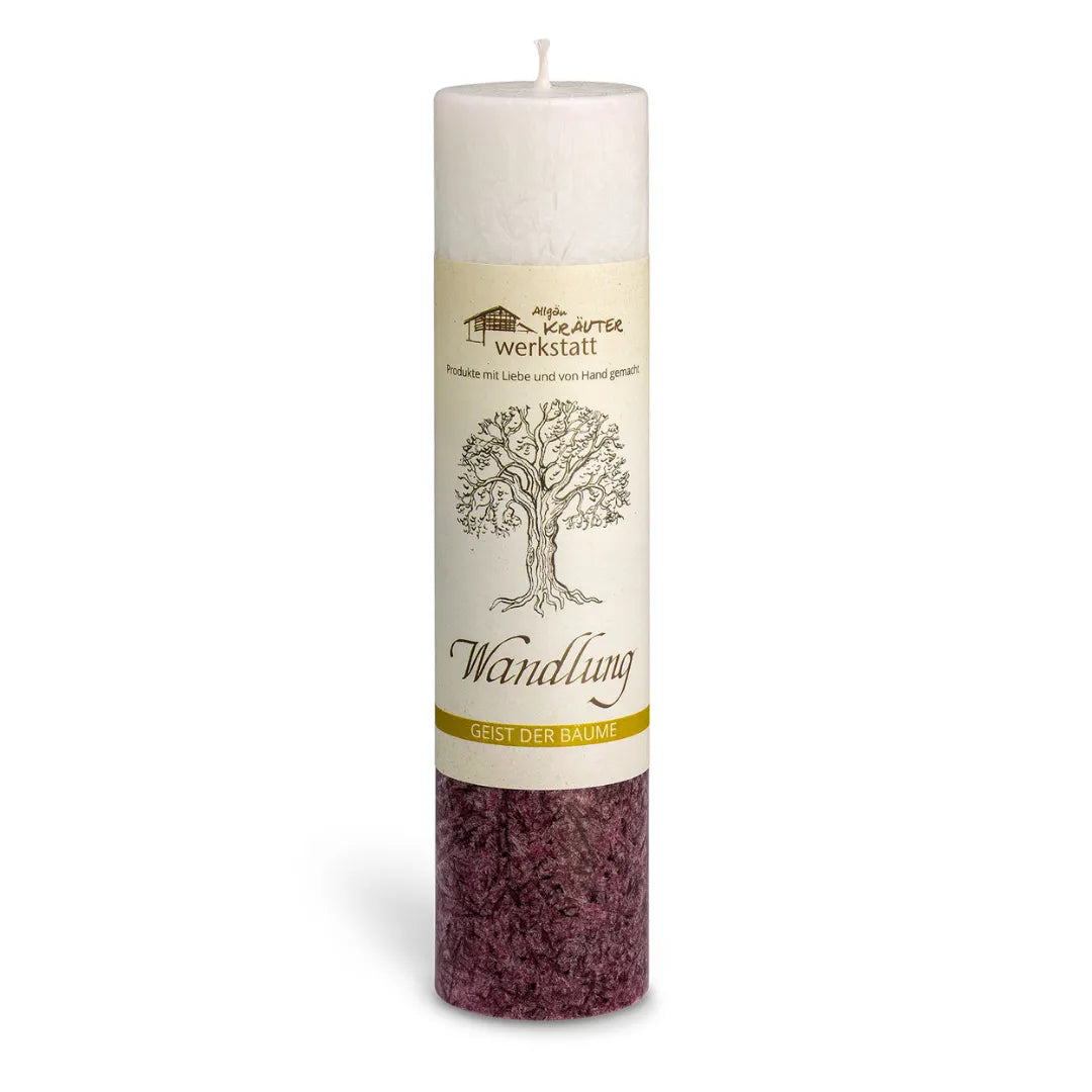 Weiß-violette Allgäuer Kräuterkerze "Wandlung" mit Holunder, unterstützt Transformation & Neubeginn.