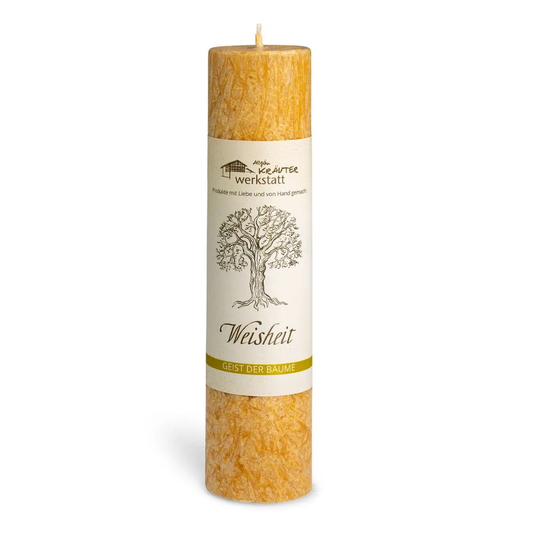 Gelb-orange Allgäuer Kräuterkerze "Weisheit" mit Buche, erweckt innere Weisheit & schenkt Gelassenheit. 