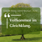 Inspirierendes Zitat "Vollkommen im Gleichklang." vor Eschenbaum, zum Thema Esche & innerer Reichtum. 