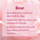 Rose: Verwöhnt die Sinne, natürliche Hilfe bei Stress und emotionaler Unruhe, kostbare Essenz. 
