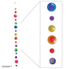 Muschelkette Variante 1 mit Nahaufnahme der Capiz-Muscheln. Deutlich erkennbar sind die transparent schimmernden, unterschiedlich großen Kugeln in bunten Farben und der Schimmer.